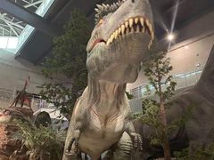 -湖南省地质博物馆