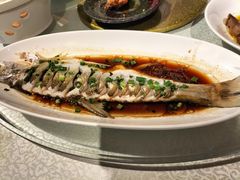 -金美华轩(东方路齐鲁店)