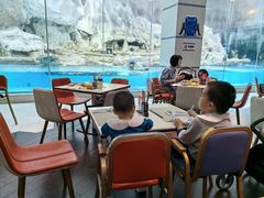 -帝企鹅自助餐厅•儿童岛•真企鹅(长隆企鹅酒店)