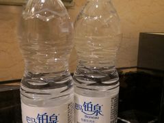 -上海圣淘沙万怡酒店