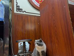 -蔡李佛鸿胜堂(普君店)