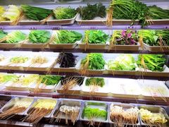 -袁记串串香(新南门店)