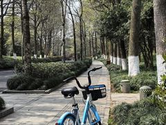 -杭州植物园