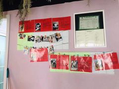 -Husky Go! 哈士奇体验馆·宠物咖啡厅狗咖