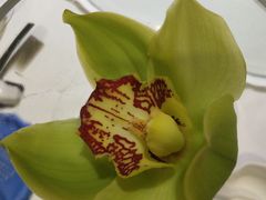 -眉州东坡(通州店)