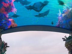-珠海长隆海洋王国