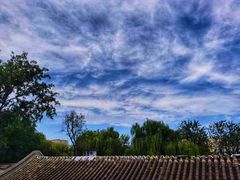 -Sirena海妖日咖夜酒