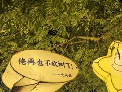 -郑州方特梦幻王国