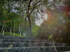-火炉山森林公园
