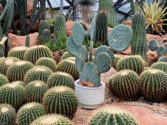 -华南国家植物园-售票处