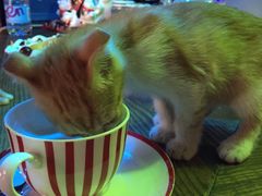 -星宿秘码(鼓浪屿老店)