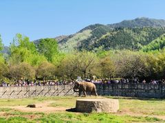 -西安秦岭野生动物园