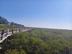 -北海金海湾红树林生态旅游区