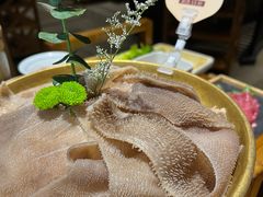-巴奴毛肚火锅(九洲店)