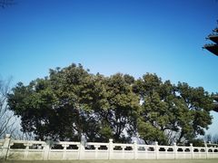 -杭州半山国家森林公园