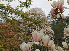 -重庆平顶山公园