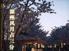 -长田漾湿地公园