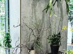 -山下C5cafe(惠通时代广场店)