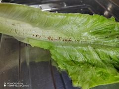 -罗家巷子休闲庄自助碳烤