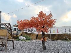 -DGE季风钓虾营地·团建·聚会
