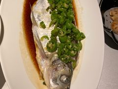 -桂满陇·海市蜃楼·黑金(国金店)