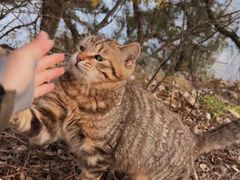-终南山南五台景区