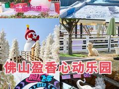 -盈香心动乐园