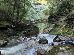-炎陵县神农谷国家森林公园