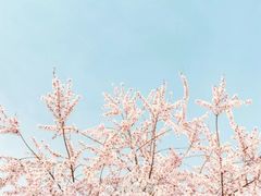 -长安大学(北校区)