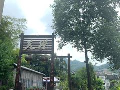 -先机泉水鸡汤(南山老君洞店)