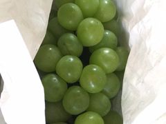 -马陆小张葡萄园农家乐