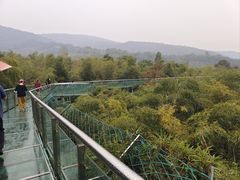 -陶祖圣境风景区