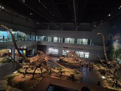 -自贡恐龙博物馆