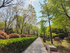 -唐城墙遗址公园