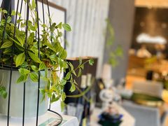 -chenity  cafe
