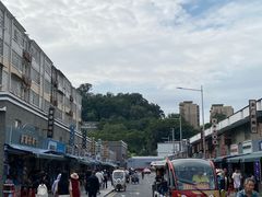 -长洲岛
