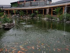 -大门水乡·顺德菜