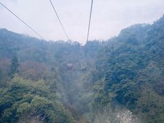 -青城山