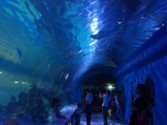 -常州海昌海洋探索馆