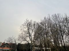 -睦南公园