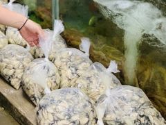 -蚝乡农庄(铁涌赤岸店)