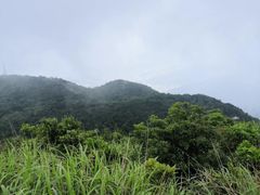 -梧桐山风景名胜区