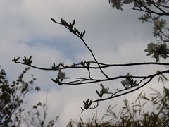-火炉山森林公园
