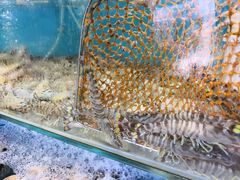 -港畔赶海蒸汽海鲜烧烤自助(仙螺岛店)