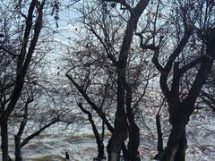 -捞渔河湿地公园