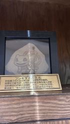 -Zoolung Zoolung动物主题公园(海信广场店)