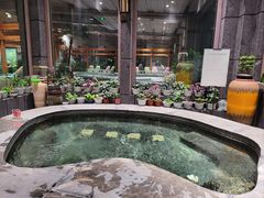 -弘安丽水温泉酒店