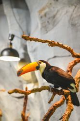 -Zoolung Zoolung动物主题公园(海信广场店)