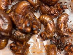 -映像威海·海鲜味道(经区店)