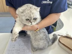 -爱侣宠医·鹦鹉专科·小型哺乳类·异宠专科(灵石路店)